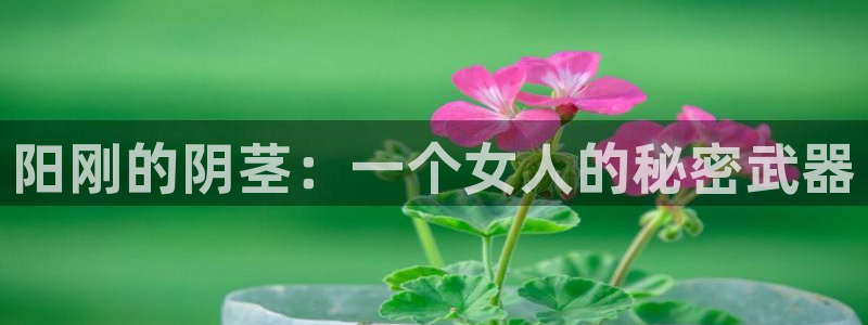 漫画岛免费版最新下载：阳刚的阴茎：一个女人的秘密武器