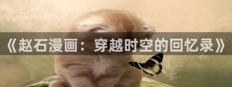 漫画岛app官方下载：《赵石漫画：穿越时空的回忆录》