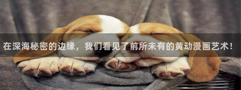 漫画岛免费版最新下载：在深海秘密的边缘，我们看见了前所未有的黄动漫画艺术！